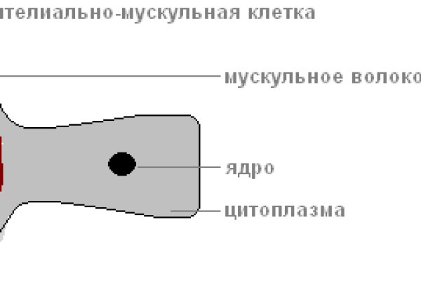 Кракен актуальное зеркало 2kmp