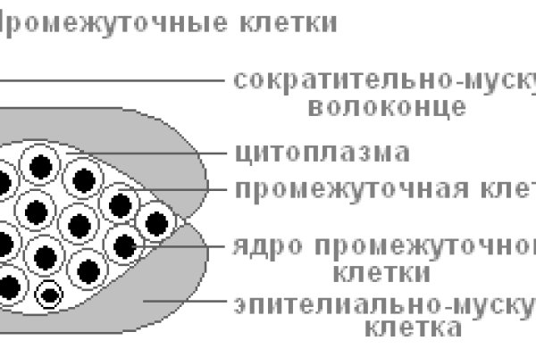 Кракен шоп интернет