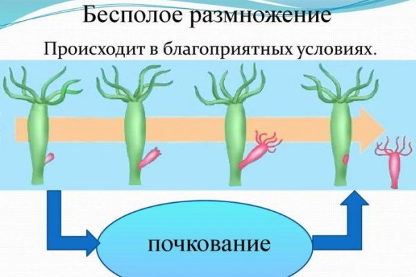 Кракен как зайти на сайт