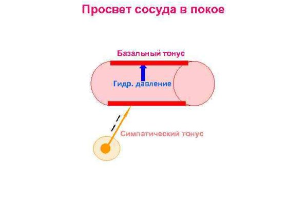 Кракен сайт маркет